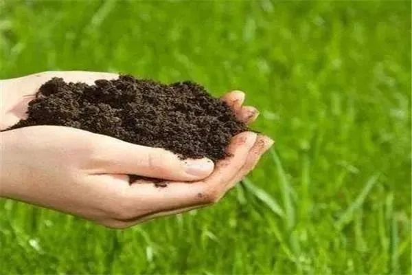 氮磷钾肥分别有什么作用，磷肥是生命之根可以促进植物根系发育-第3张图片-趣农笔记