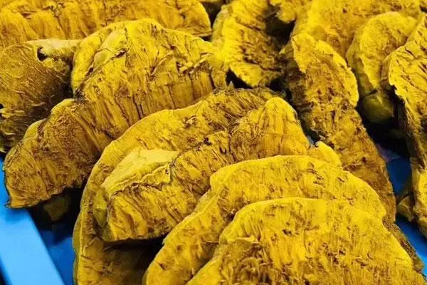 桑黄的价格多少钱一斤，一般在100-10000元每斤之间-第3张图片-趣农笔记