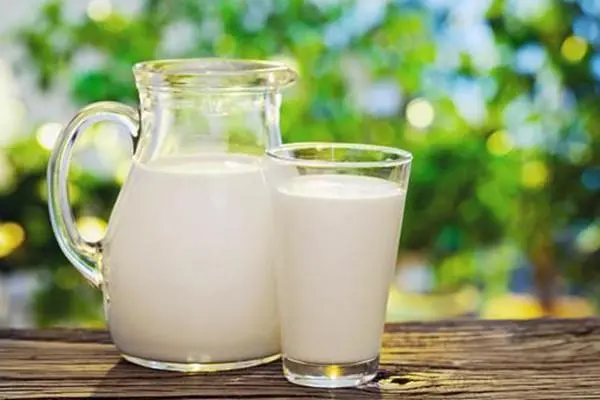 牛奶为什么被称为液体面包，容易吸收而且营养丰富