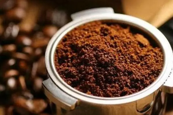 咖啡渣怎么做肥料，咖啡渣做肥料的3种方法