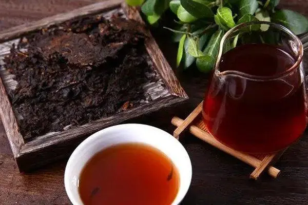 老树生普洱茶的价格，通常在800元以上一斤