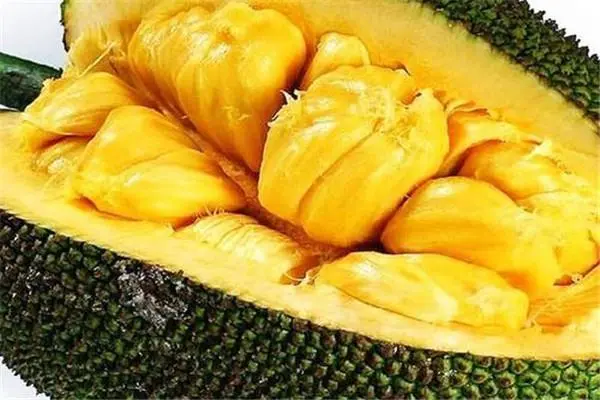菠萝蜜怎么选皮薄肉多还甜，菠萝蜜的5个挑选方法-第3张图片-趣农笔记